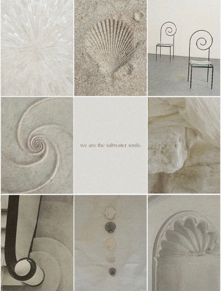 Neutral-toned collage of shells, sculptural forms and natural textures