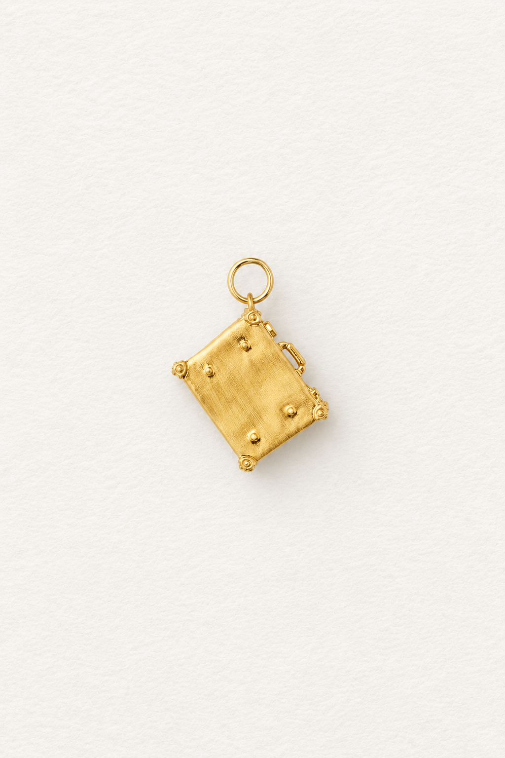 Newt's Case Locket Pendant