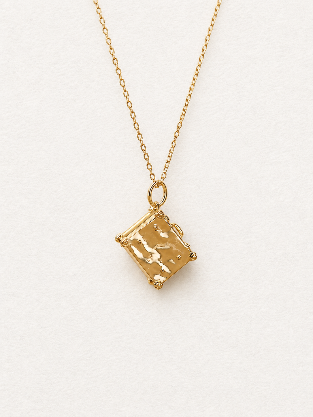 Newt's Case Locket Pendant